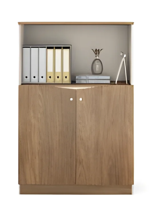 [LONGQI-PT-545] Storage cabinet PT-545 – 800 mm